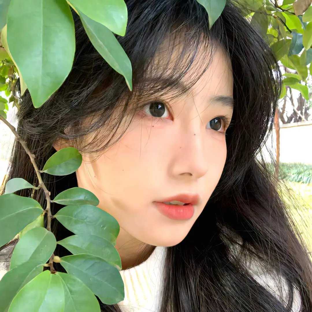 田园神谕 在线观看