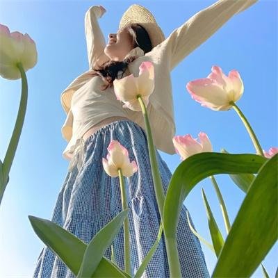 山丹丹花儿开 在线观看